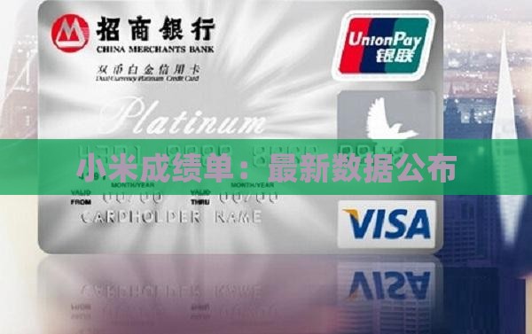 小米贷款最新成绩单