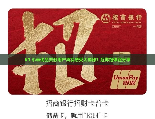 小米优品贷款