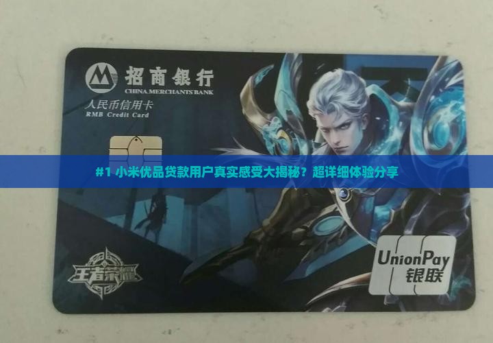 小米优品贷款