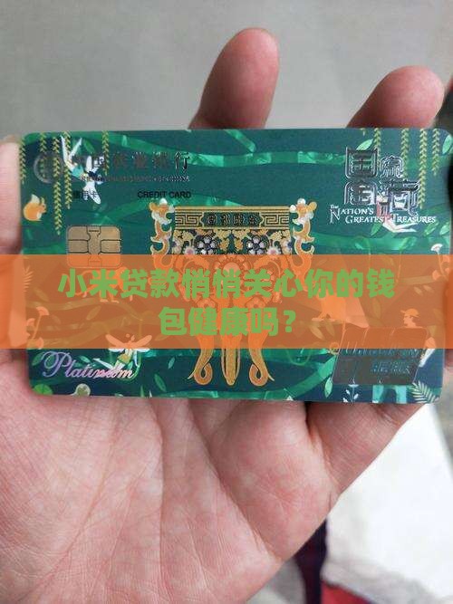 小米贷款会查资金