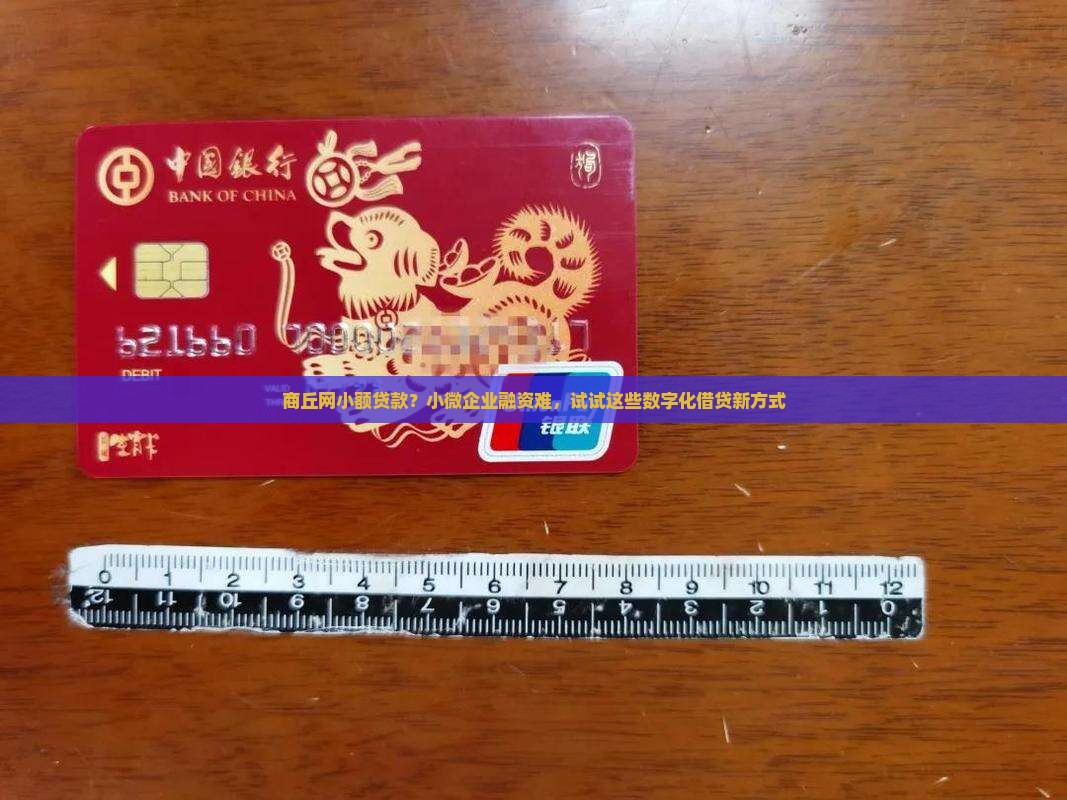 商丘网小额贷款