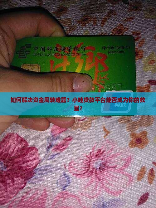 小哇贷款平台 小哇贷款平台