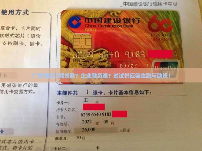 广州源通小额贷款