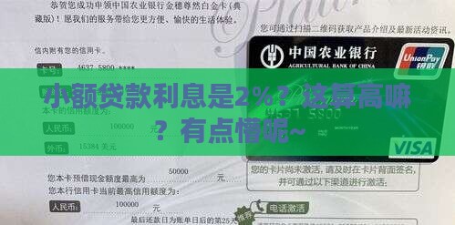 小额贷款百分之二高吗
