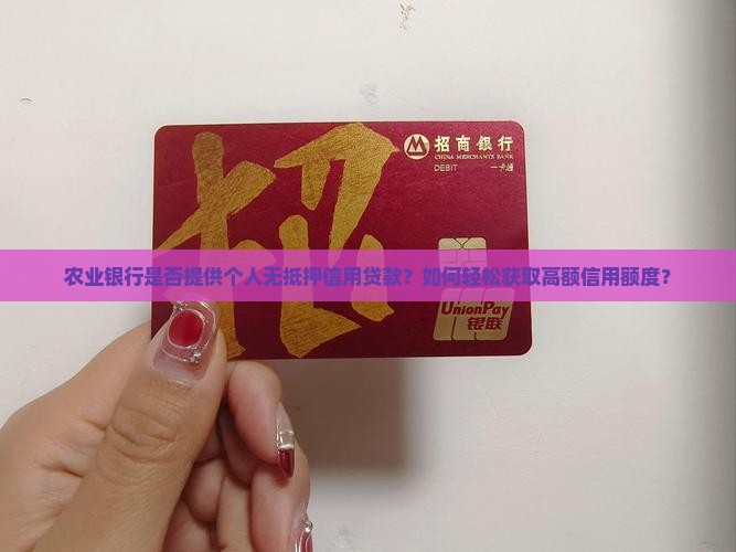 农行可以个人信用贷款吗