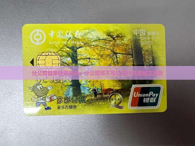 分公司能单独贷款吗