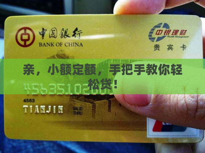 小额贷款保证通过的