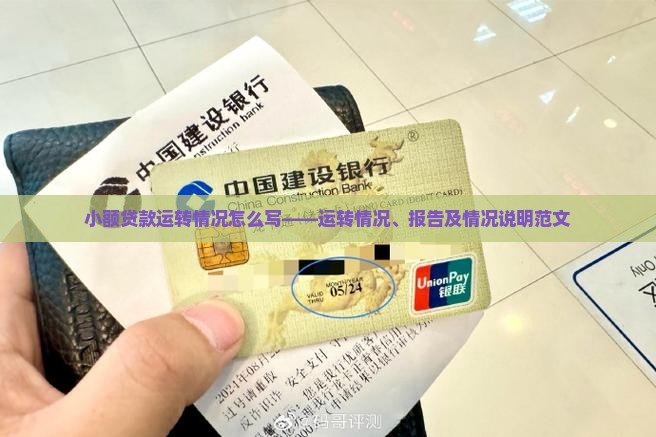 小额贷款运转情况怎么写