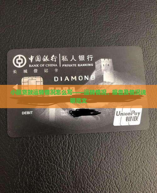 小额贷款运转情况怎么写