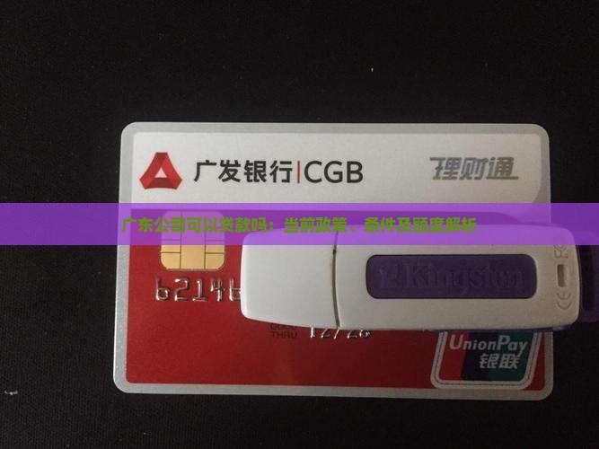 广东公司可以贷款吗