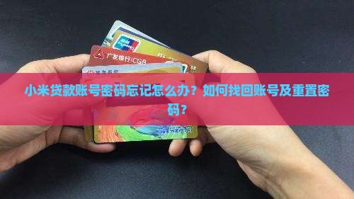小米贷款忘记账号密码了