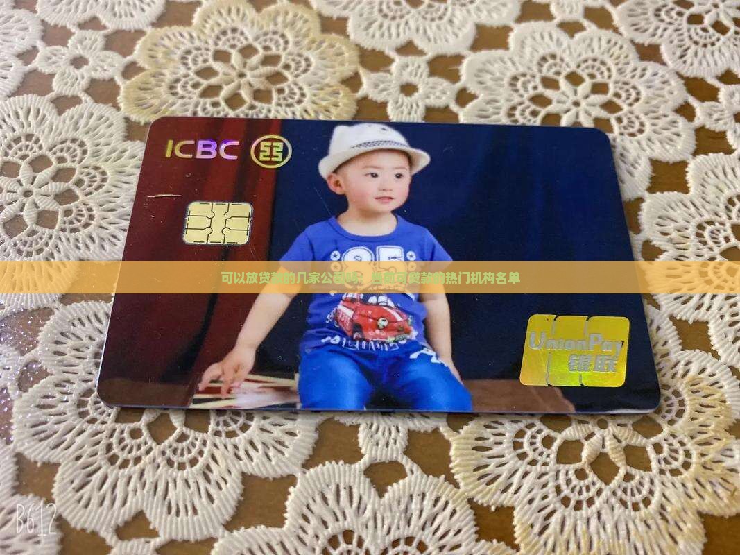 可以放贷款的几家公司吗