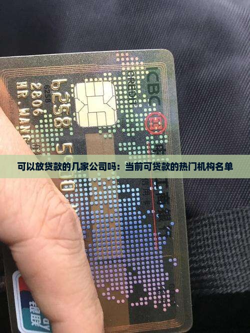 可以放贷款的几家公司吗