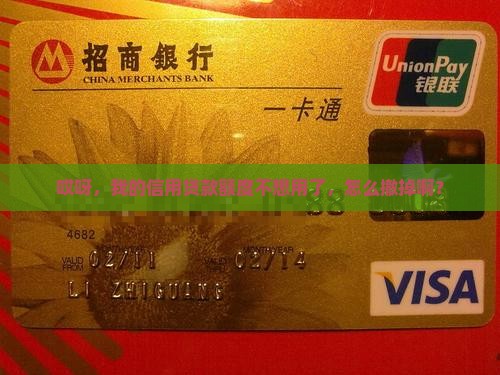 如何撤销信用贷款额度