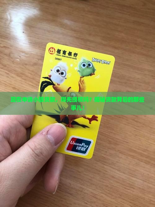 小额贷款需要授权吗现在