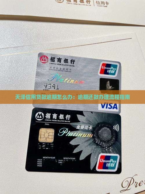 天泽信用贷款逾期怎么办