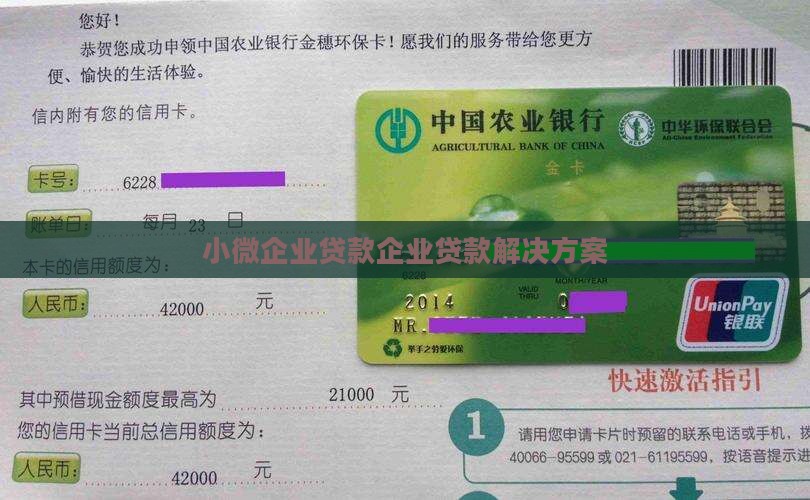 小微企业贷贷款主体