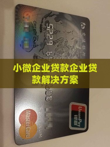 小微企业贷贷款主体