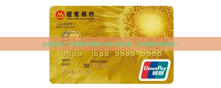 山西地宝洪洞小额贷款