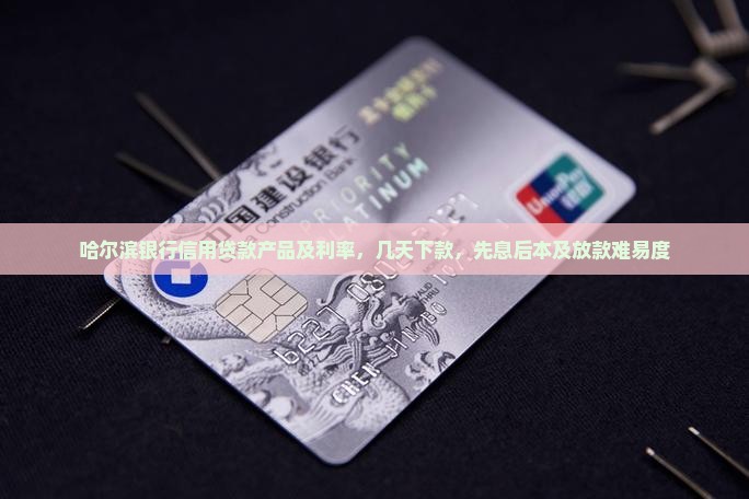 哈尔滨银行信用贷款