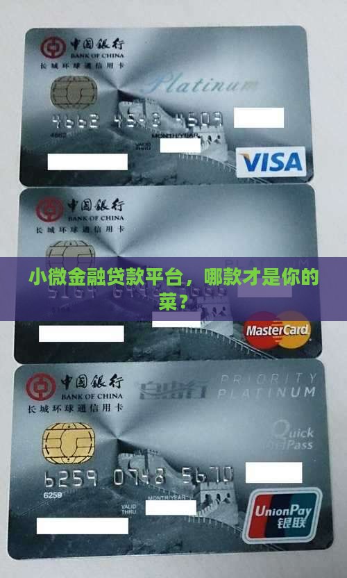 小微金融贷款平台有哪些