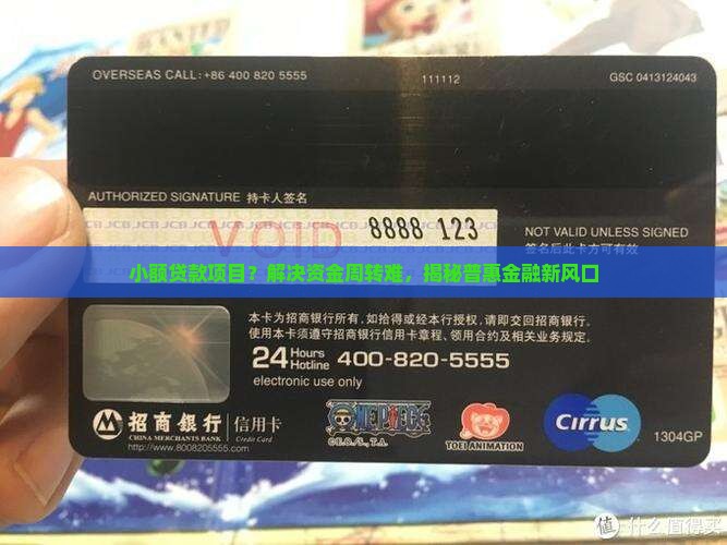 小额贷款项目