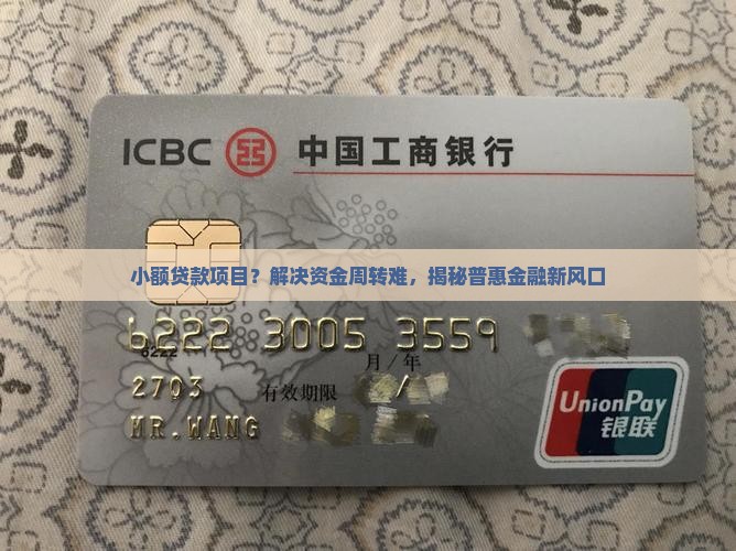 小额贷款项目