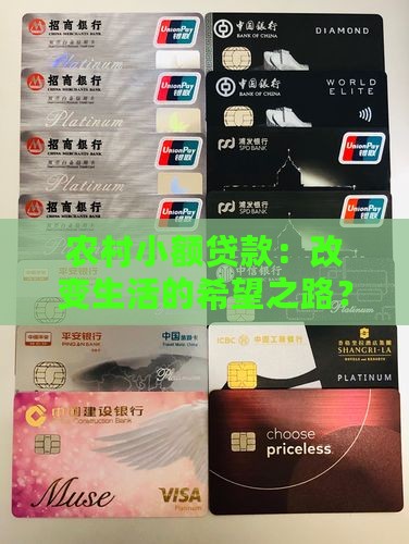农村小额贷款的发展前景