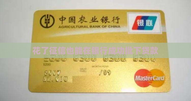 征信花去银行给批了贷款