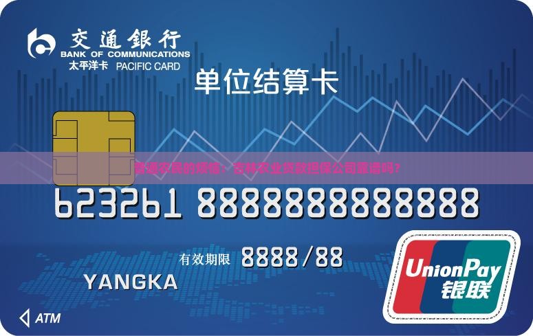 吉林农业贷款担保公司