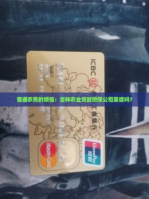吉林农业贷款担保公司