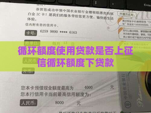 循环循环额度使用贷款