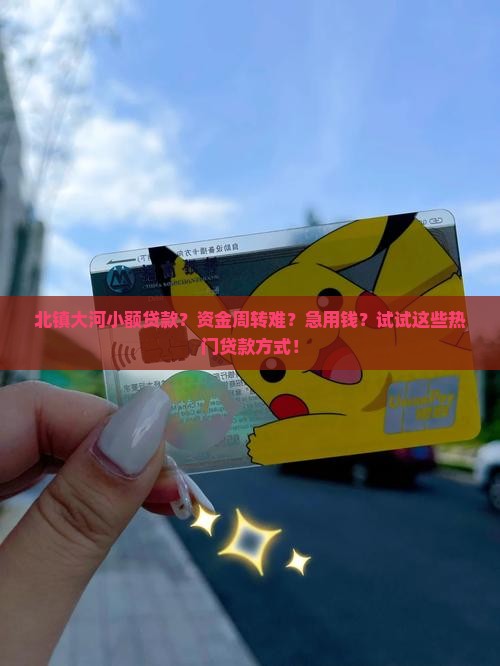 北镇大河小额贷款