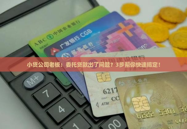 委托贷款小贷
