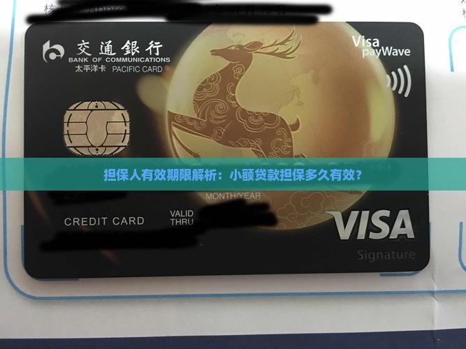 小额贷款担保人的有效期