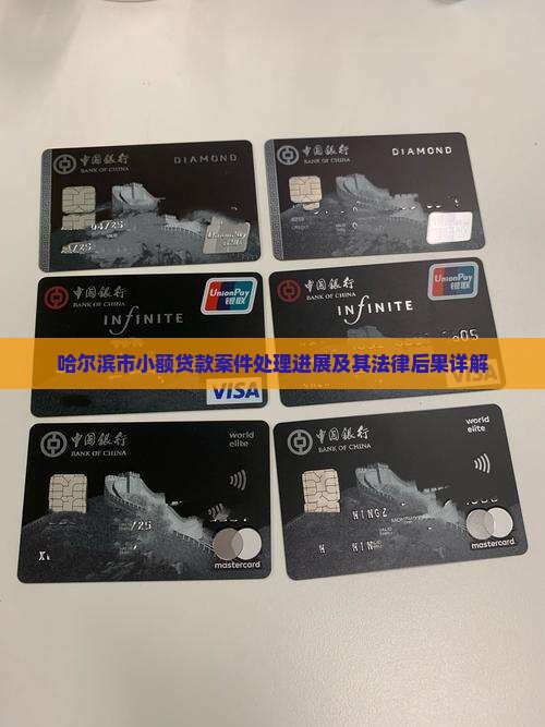 哈尔滨市小额贷款案件