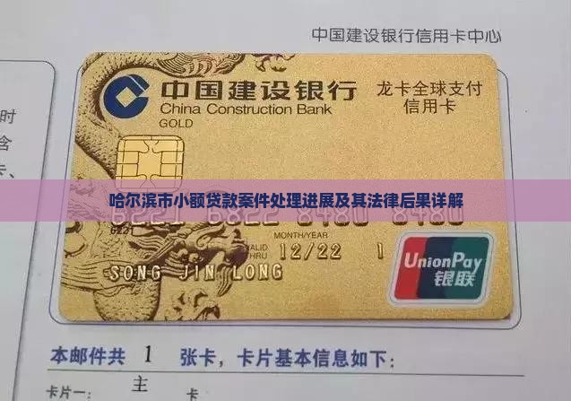 哈尔滨市小额贷款案件