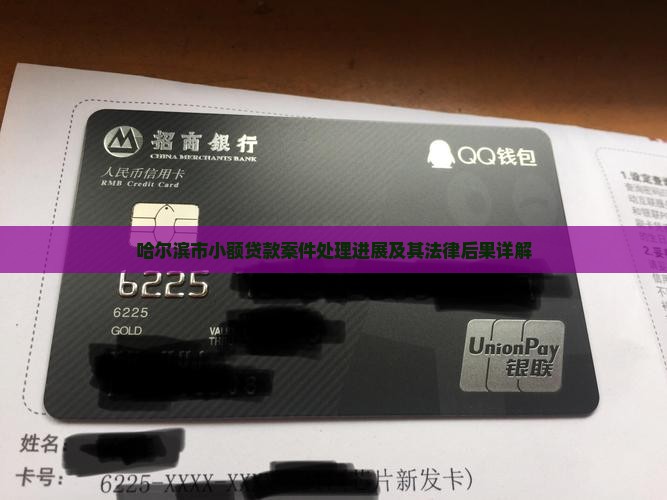 哈尔滨市小额贷款案件