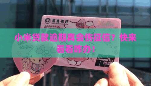 小米贷款逾期掉征信吗