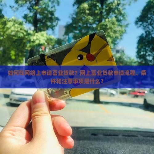 怎么在网上做富业贷款呢