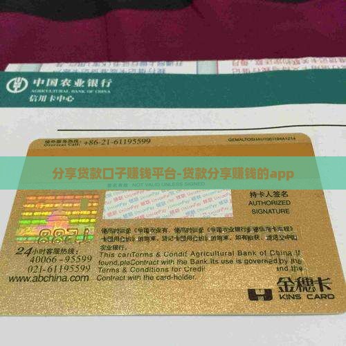分享贷款口子