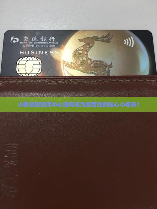 小额贷款担保中心的作用