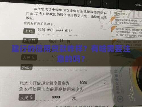 建行查信用贷款