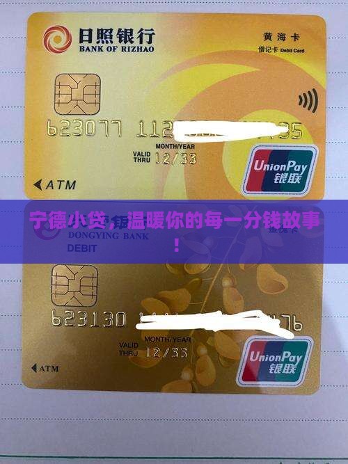 宁德精信小额贷款