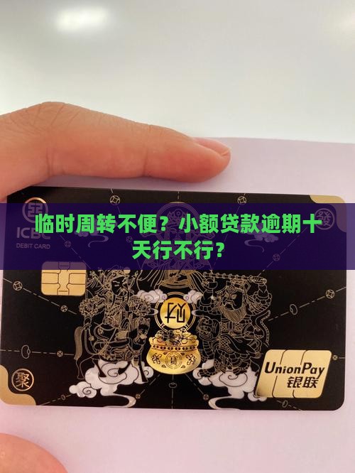 小额贷款可以超过十天还吗
