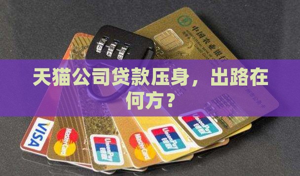 天猫公司有贷款怎么办