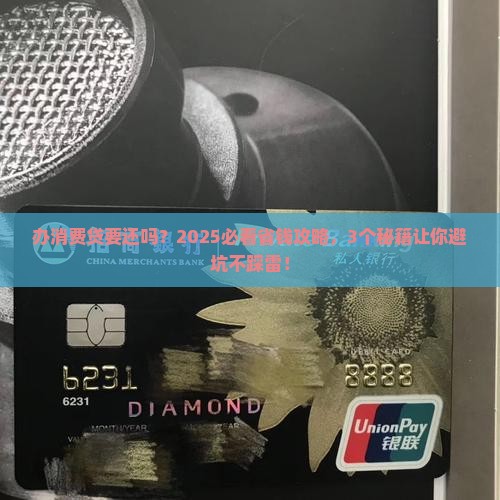 办贷款消费贷要还吗