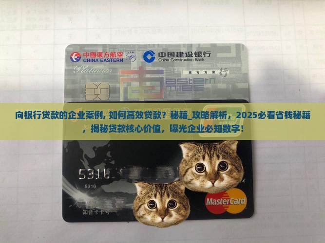 向银行贷款的企业案例
