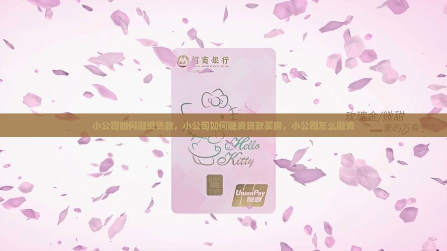 小公司如何融资贷款