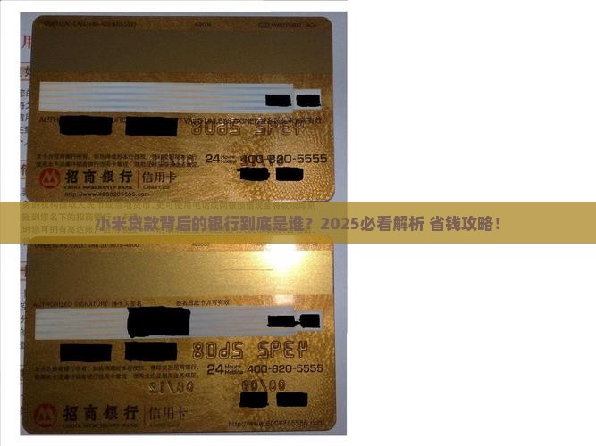 小米贷款是什么银行放贷